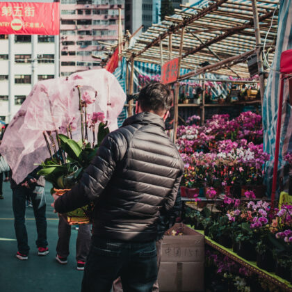 Hong Kong Flower Market Guide, Mong Kok Flower Market