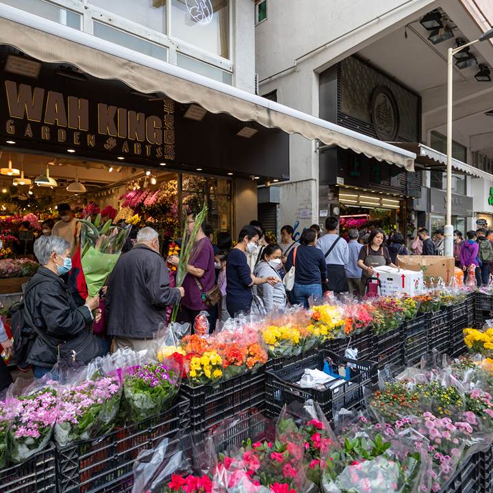 Hong Kong Flower Market Guide, Mong Kok Flower Market: Wah King Garden, Sai Yee Street
